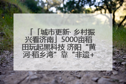 「城市更新· 乡村振兴看济南」5000亩稻田玩起黑科技 济阳“黄河·稻乡湾”靠“非遗+露营”火出圈