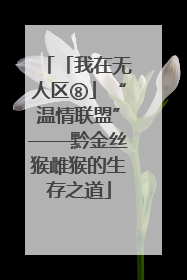 「我在无人区⑧」“温情联盟”——黔金丝猴雌猴的生存之道