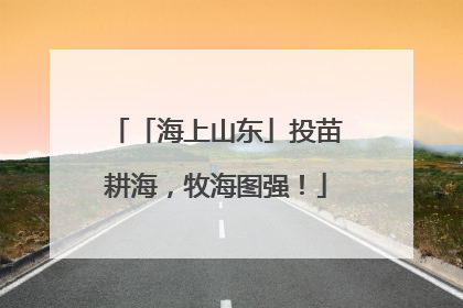 「海上山东」投苗耕海，牧海图强！