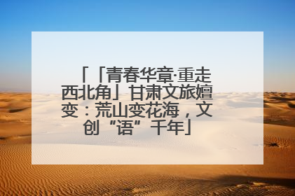 「青春华章·重走西北角」甘肃文旅嬗变：荒山变花海，文创“语”千年