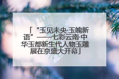 “玉见未央·玉魄新语”——七彩云南·中华玉都新生代人物玉雕展在京盛大开幕