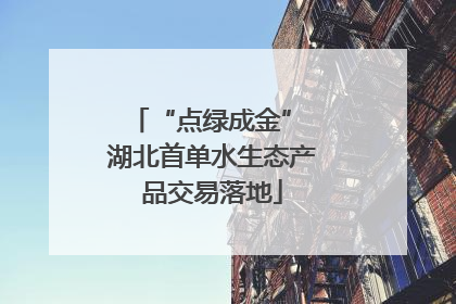 “点绿成金” 湖北首单水生态产品交易落地