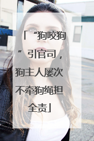 “狗咬狗”引官司，狗主人屡次不牵狗绳担全责