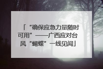 “确保应急力量随时可用”——广西应对台风“蝴蝶”一线见闻