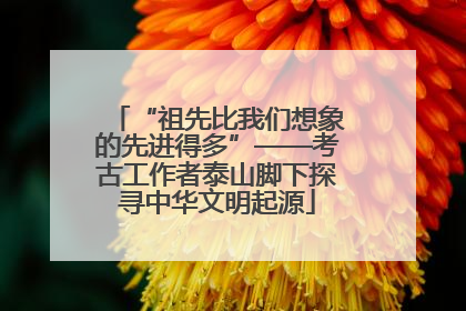 “祖先比我们想象的先进得多”——考古工作者泰山脚下探寻中华文明起源