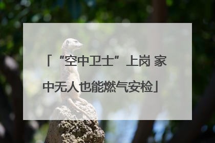 “空中卫士”上岗 家中无人也能燃气安检
