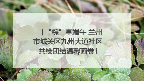 “粽”享端午 兰州市城关区九州大道社区共绘团结温馨画卷