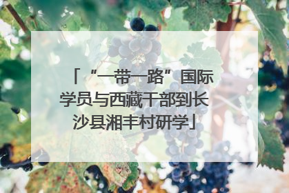“一带一路”国际学员与西藏干部到长沙县湘丰村研学