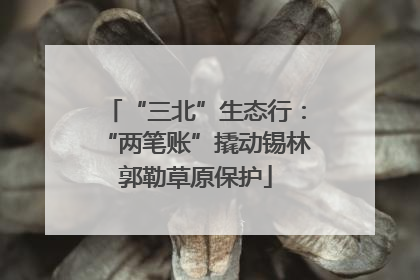 “三北”生态行：“两笔账”撬动锡林郭勒草原保护