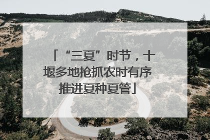 “三夏”时节，十堰多地抢抓农时有序推进夏种夏管