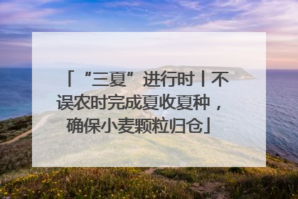 “三夏”进行时丨不误农时完成夏收夏种，确保小麦颗粒归仓