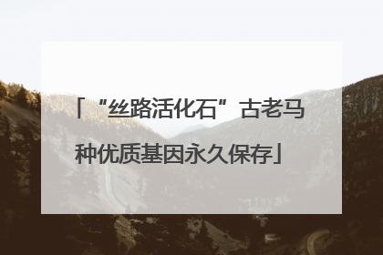 “丝路活化石”古老马种优质基因永久保存