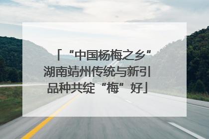 “中国杨梅之乡”湖南靖州传统与新引品种共绽“梅”好
