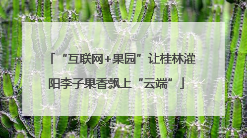 “互联网+果园”让桂林灌阳李子果香飘上“云端”
