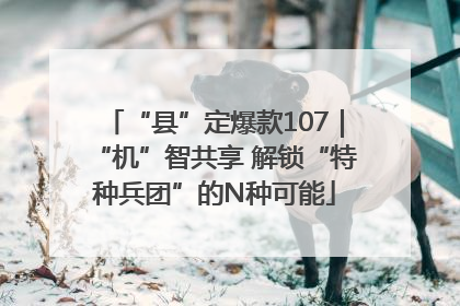 “县”定爆款107｜“机”智共享 解锁“特种兵团”的N种可能