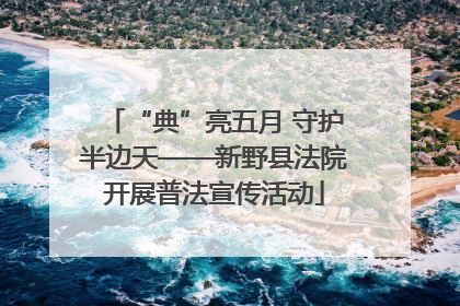 “典”亮五月 守护半边天——新野县法院开展普法宣传活动