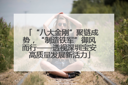 “八大金刚”聚链成势，“制造铁军”御风而行——透视深圳宝安高质量发展新活力
