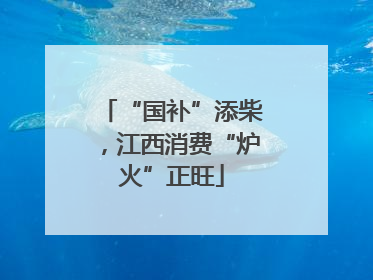 “国补”添柴，江西消费“炉火”正旺