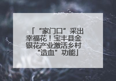 “家门口”采出幸福花！宝丰县金银花产业激活乡村“造血”功能