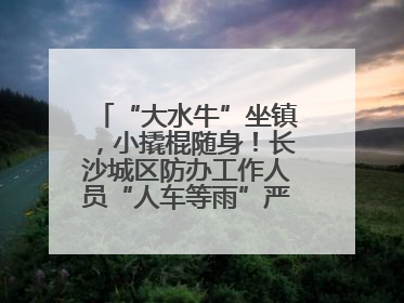 “大水牛”坐镇，小撬棍随身！长沙城区防办工作人员“人车等雨”严阵以待