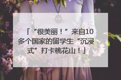 “很美丽！”来自10多个国家的留学生“沉浸式”打卡桃花山！