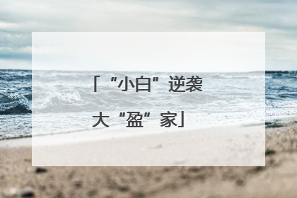 “小白”逆袭大“盈”家