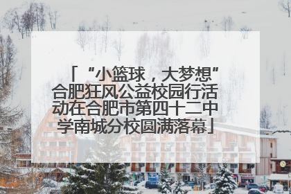 “小篮球，大梦想”合肥狂风公益校园行活动在合肥市第四十二中学南城分校圆满落幕
