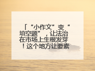 “小作文”变“填空题”，让法治在市场上生根发芽！这个地方让要素式文书入民心
