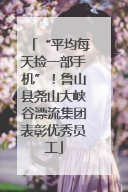 “平均每天捡一部手机”！鲁山县尧山大峡谷漂流集团表彰优秀员工
