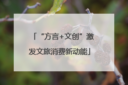 “方言+文创”激发文旅消费新动能