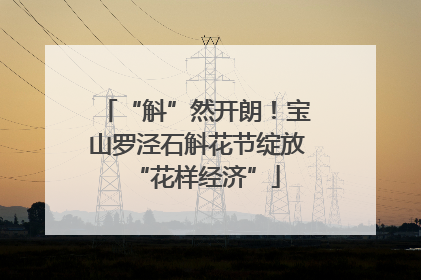 “斛”然开朗！宝山罗泾石斛花节绽放“花样经济”