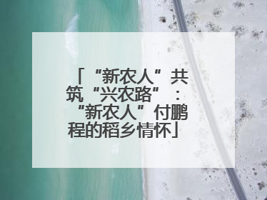 “新农人”共筑“兴农路”：“新农人”付鹏程的稻乡情怀
