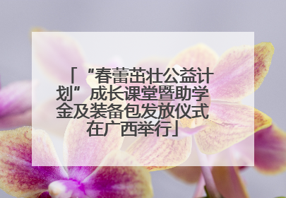 “春蕾茁壮公益计划”成长课堂暨助学金及装备包发放仪式在广西举行