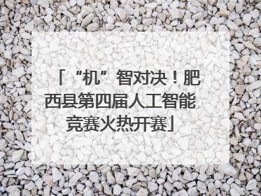 “机”智对决！肥西县第四届人工智能竞赛火热开赛