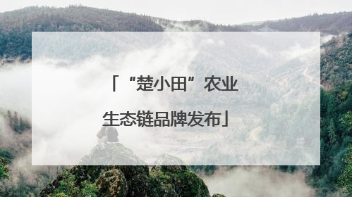 “楚小田”农业生态链品牌发布