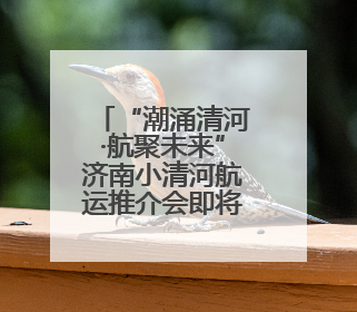 “潮涌清河·航聚未来”济南小清河航运推介会即将启幕 共绘内河航运发展新蓝图
