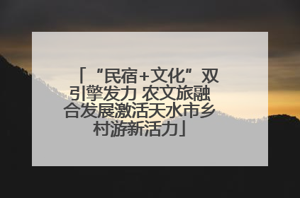 “民宿+文化”双引擎发力 农文旅融合发展激活天水市乡村游新活力