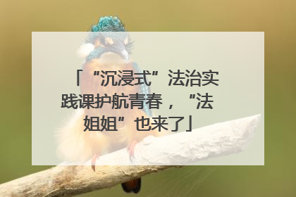 “沉浸式”法治实践课护航青春，“法姐姐”也来了