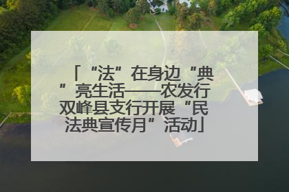 “法”在身边“典”亮生活——农发行双峰县支行开展“民法典宣传月”活动