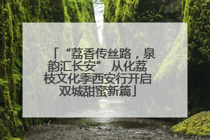 “荔香传丝路，泉韵汇长安” 从化荔枝文化季西安行开启双城甜蜜新篇