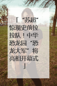 “苏超”惊现史前拉拉队！中华恐龙园“恐龙大军”将亮相开幕式