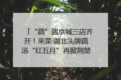 “藕”遇京城三店齐开！来菜·湖北头牌藕汤“红五月”再掀荆楚美食文化风暴