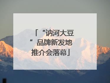 “讷河大豆”品牌新发地推介会落幕