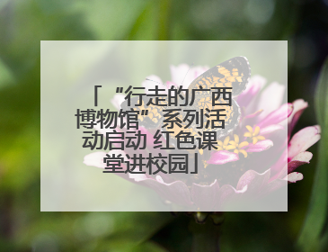“行走的广西博物馆”系列活动启动 红色课堂进校园