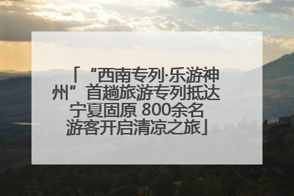 “西南专列·乐游神州”首趟旅游专列抵达宁夏固原 800余名游客开启清凉之旅