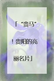 “贵马”！贵阳的亮丽名片