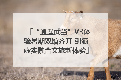 “逍遥武当”VR体验暑期双馆齐开 引领虚实融合文旅新体验