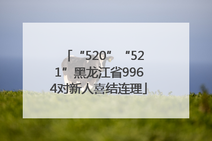 “520”“521”黑龙江省9964对新人喜结连理