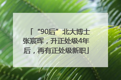 “90后”北大博士张宸珲，升正处级4年后，再有正处级新职