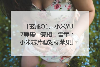 玄戒O1、小米YU7等集中亮相，雷军：小米芯片要对标苹果